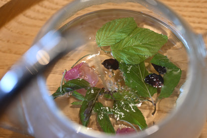 〜酔い覚ましのひと時に〜【Herb Tea】MARO Wines Blend