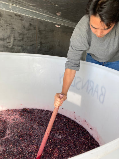 MARO Wines NZ ２本セット 【オンライン限定価格】
